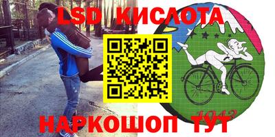 гашик Берёзовский