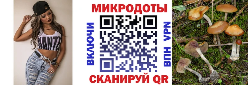 Галлюциногенные грибы Magic Shrooms  Белореченск 