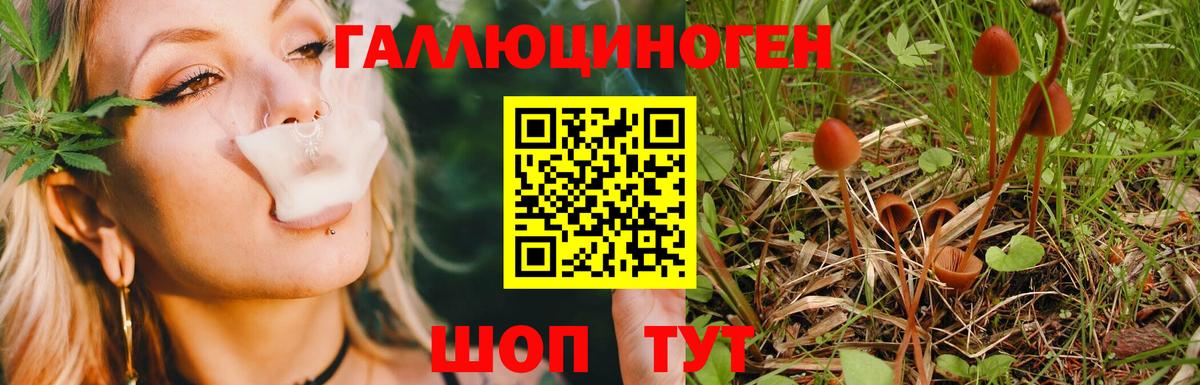 Галлюциногенные грибы прущие грибы  Белореченск 