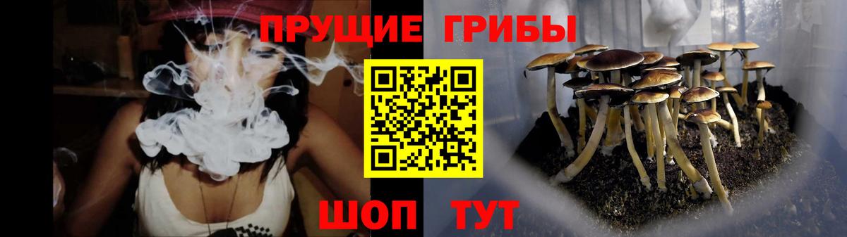 Галлюциногенные грибы прущие грибы  Вход с VPN  Галлюциногенные грибы мицелий  Белореченск 